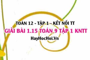 Giải 1.15 Toán 12 tập 1 SGK Kết nối tri thức